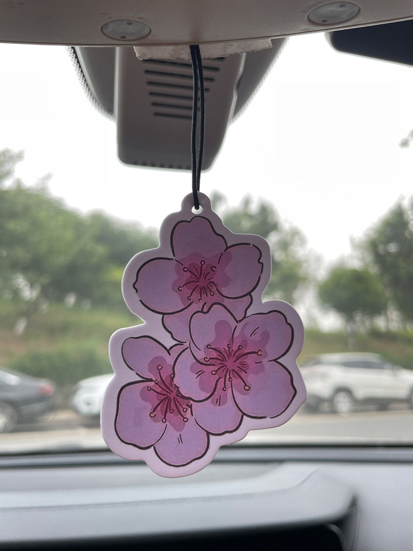 Sakura/Freesia Fresh Scent Fiv - Home Fragrance Logo review and price