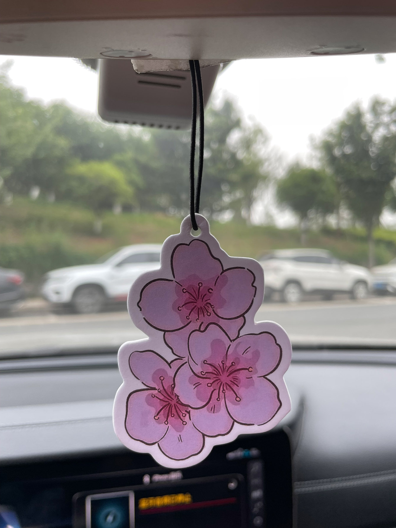 Sakura/Freesia Fresh Scent Fiv - Home Fragrance Logo review and price